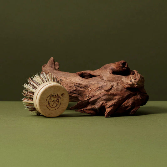 Replacement Brush