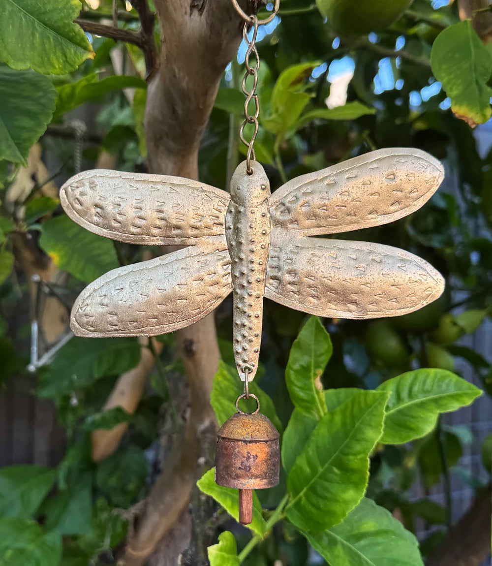 Chime Dragonfly