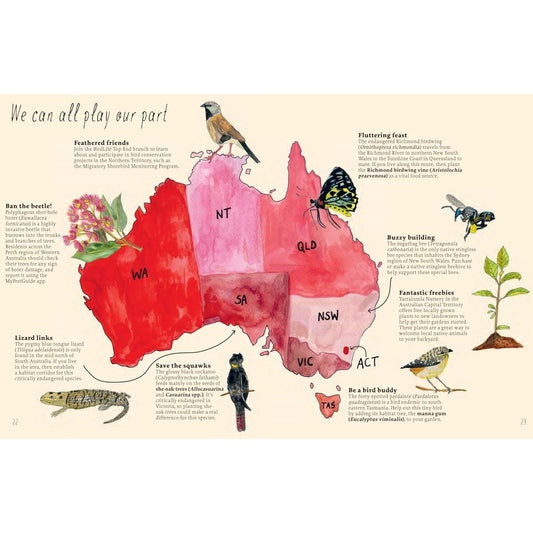 Planting for Native Birds, Bees and Butterflies