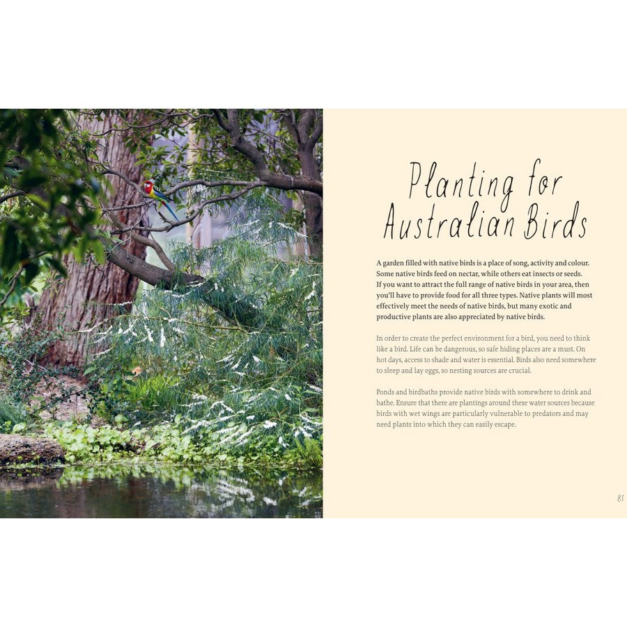 Planting for Native Birds, Bees and Butterflies