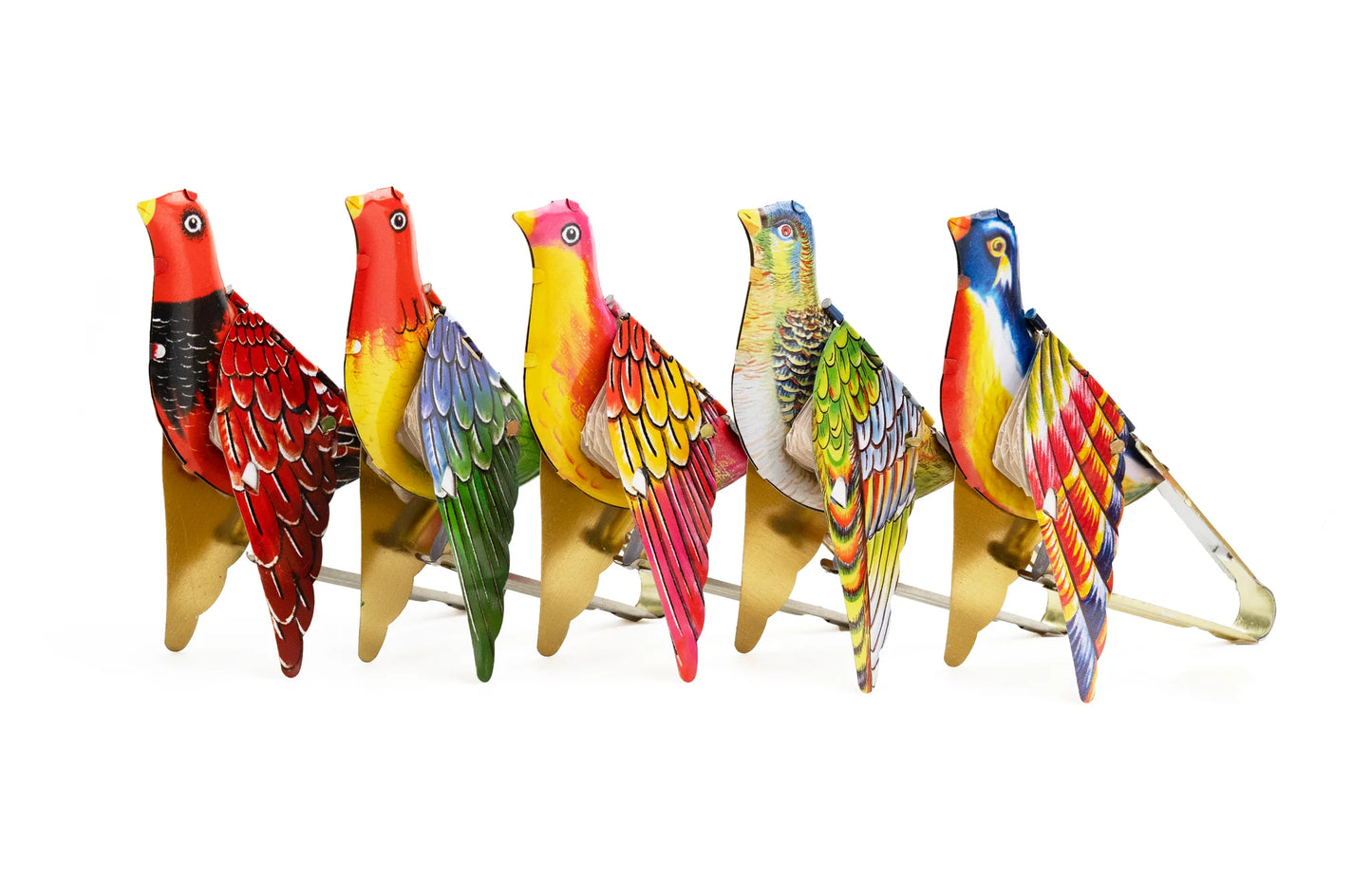 Whistling Sparrow | Assorted