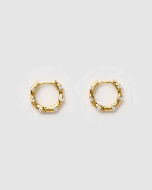 Electra Gold Earrings