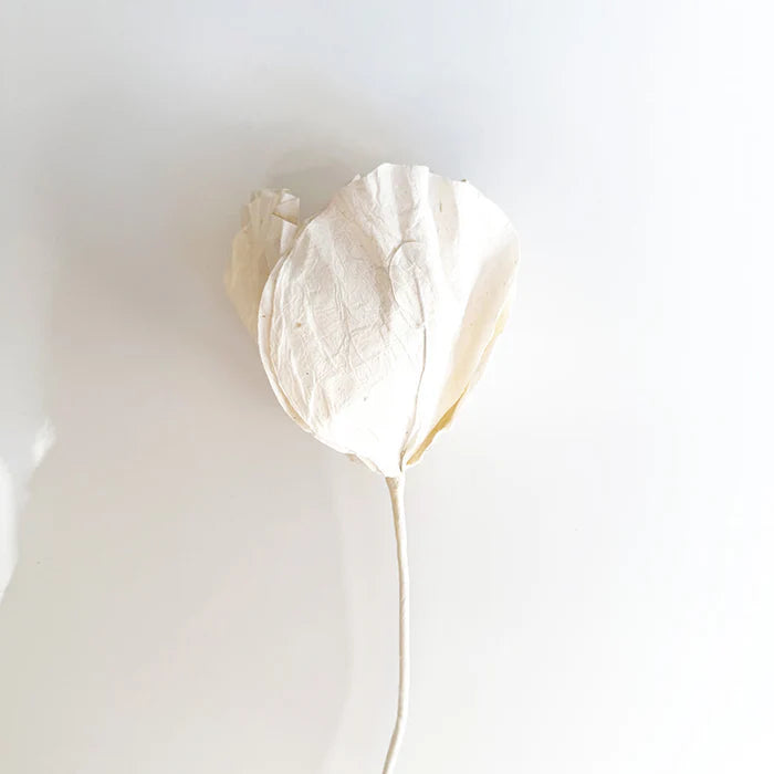 Camellia Paper Flower | White