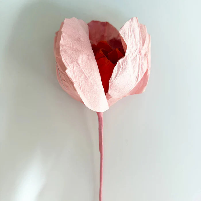 Camellia Paper Flower | Salmon