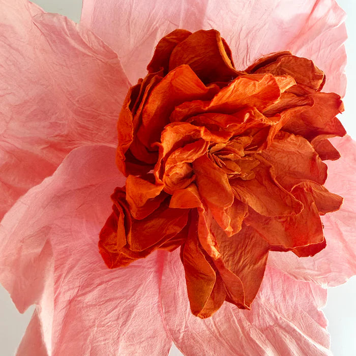 Camellia Paper Flower | Salmon