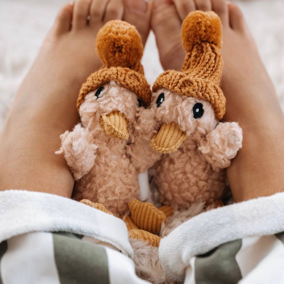 The Little Dog and the Lost Duck | Giftable Book Box Set