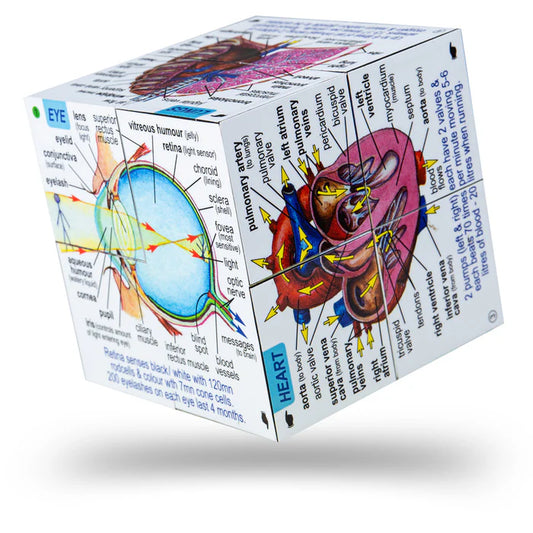 Zoobookoo - Human Body Anatomy Cube Book