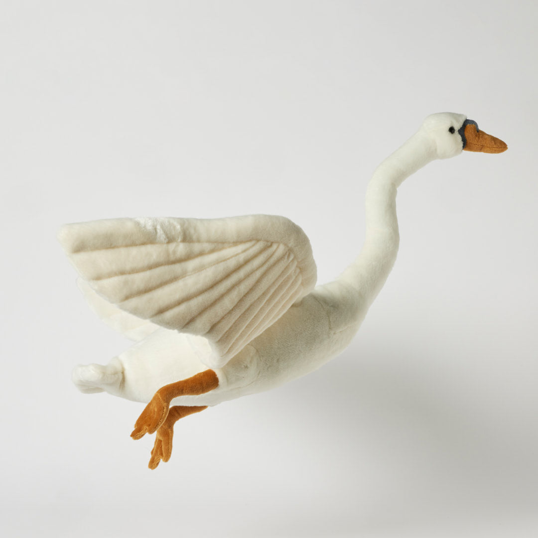 Large Flying Swan