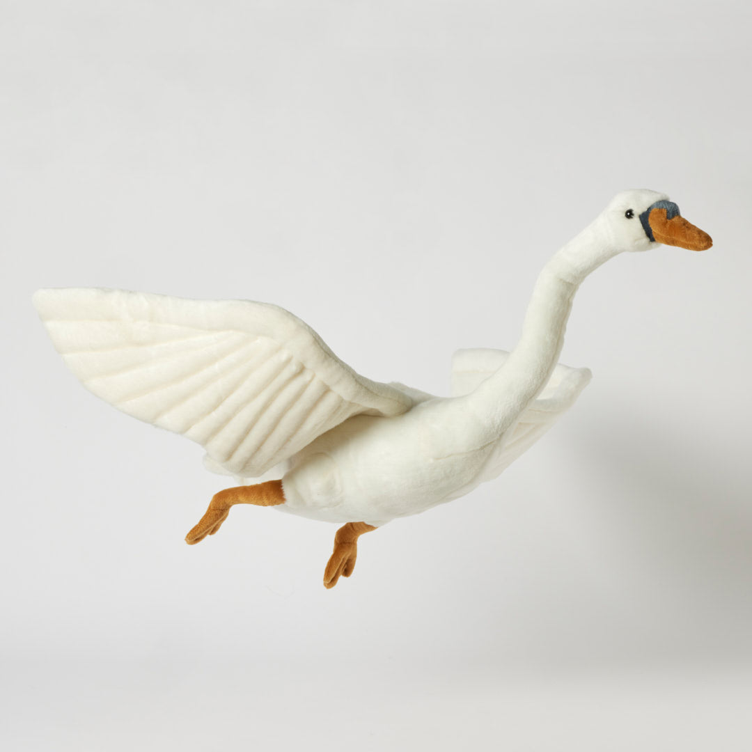 Large Flying Swan