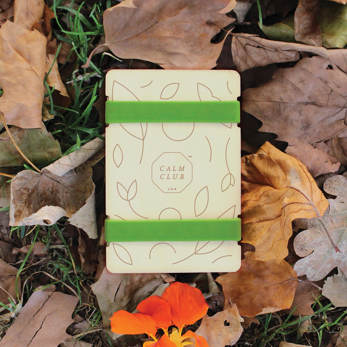 Pocket Size Flower Power