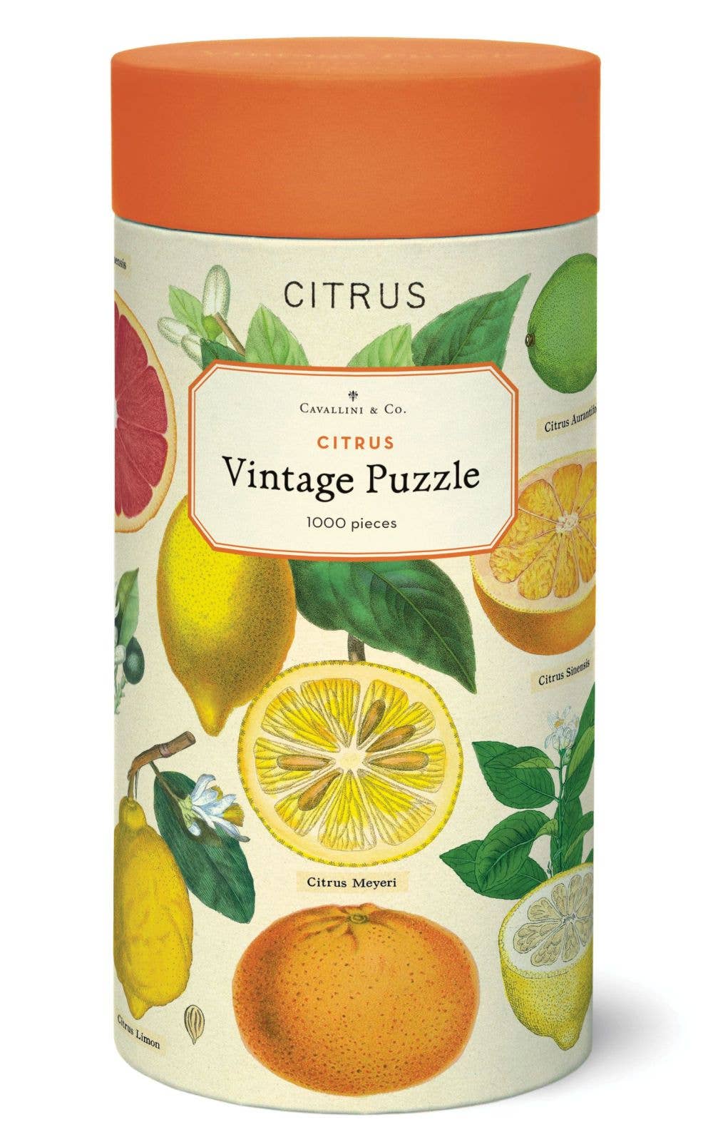 Adult Puzzles