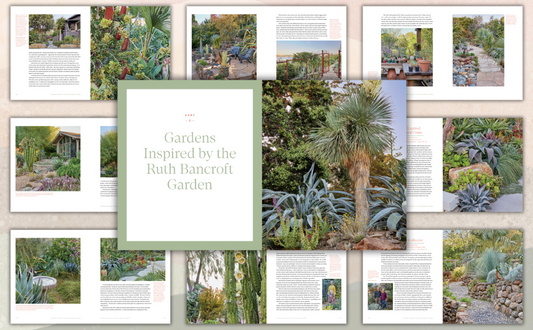 Designing the Lush Dry Garden