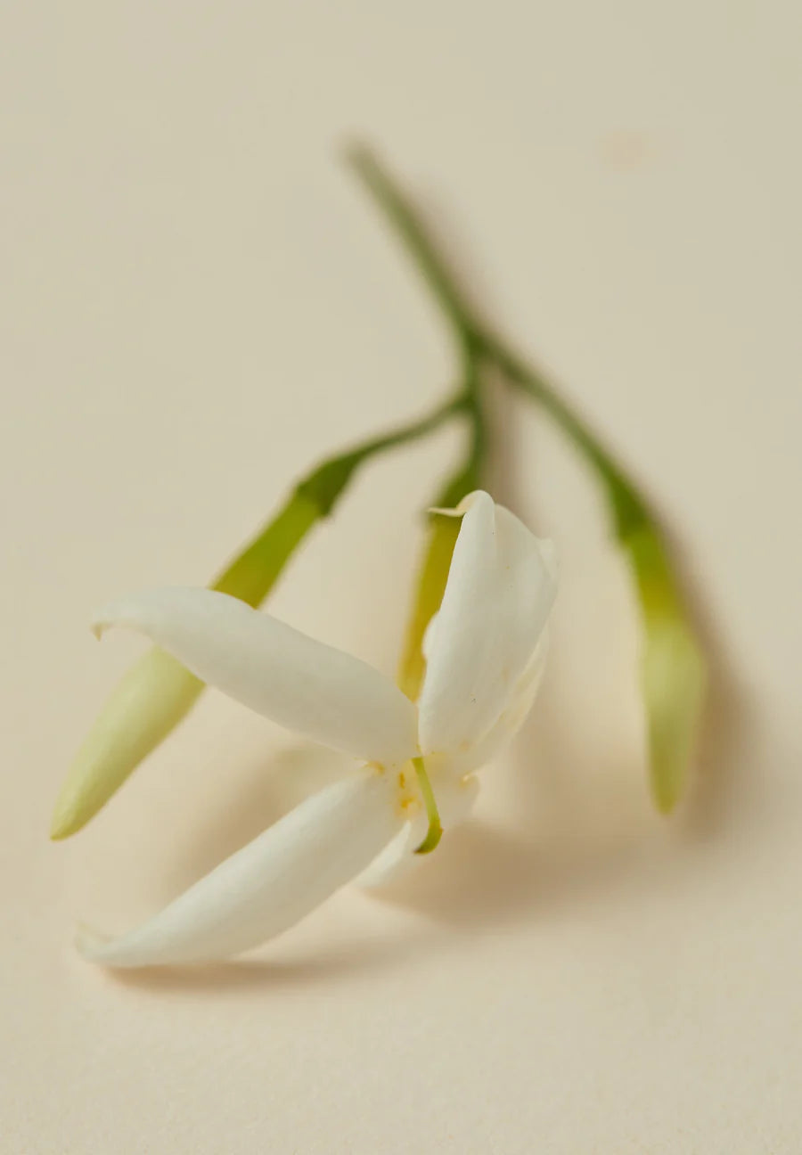 AYU Body Oil | Jasmine & Neroli