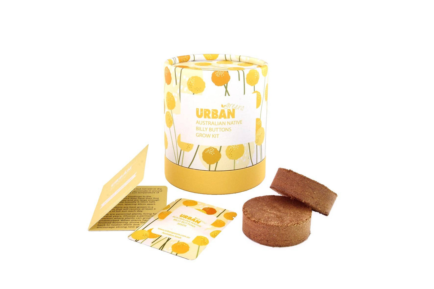 Urban Greens Australian Native Billy Buttons Grow Kit