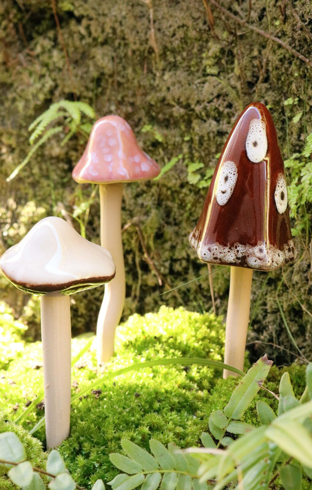 Jiggle Small Mushroom | Dusk