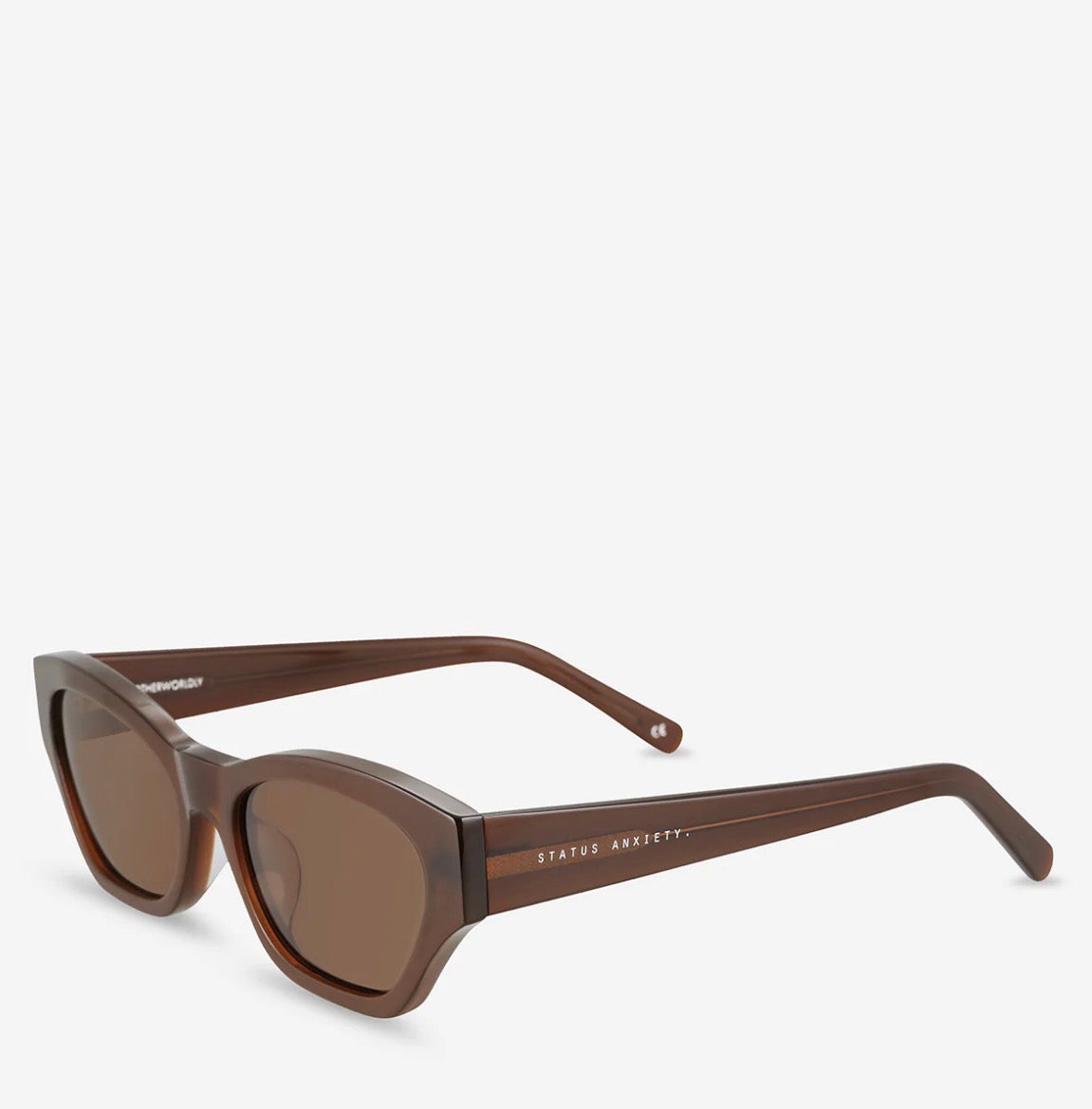 **COMING SOON** Otherworldly Sunglasses | Brown