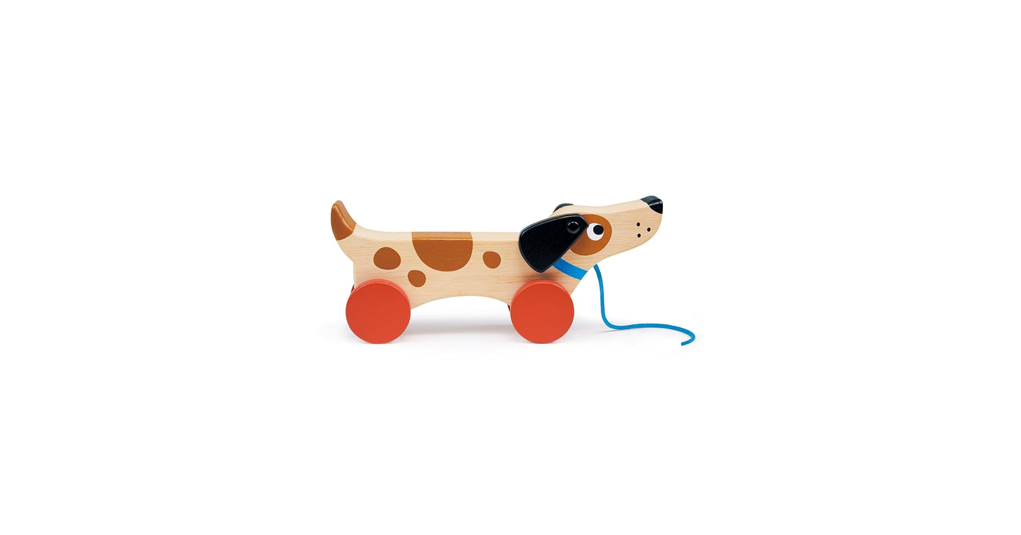 Puppy on Wheels Pull Along