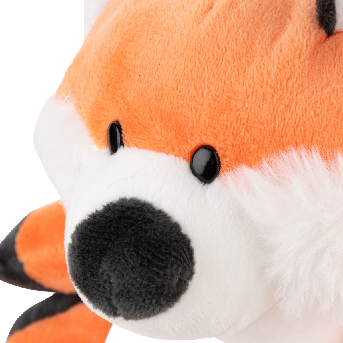 Bruno the Fox