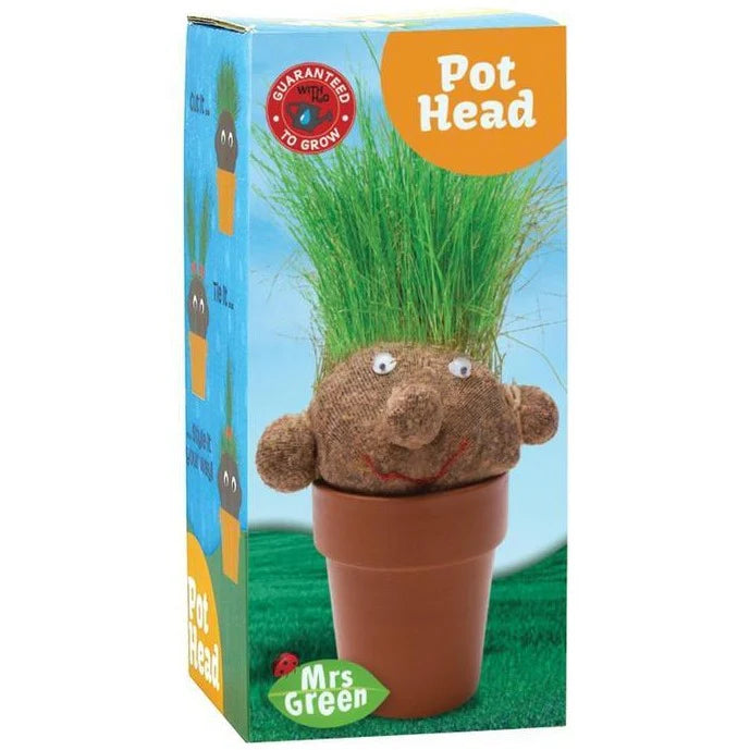 Pot Head | Grass Growing