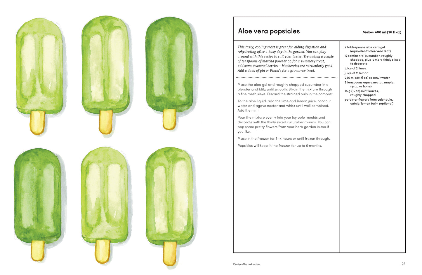 The Medicinal Garden