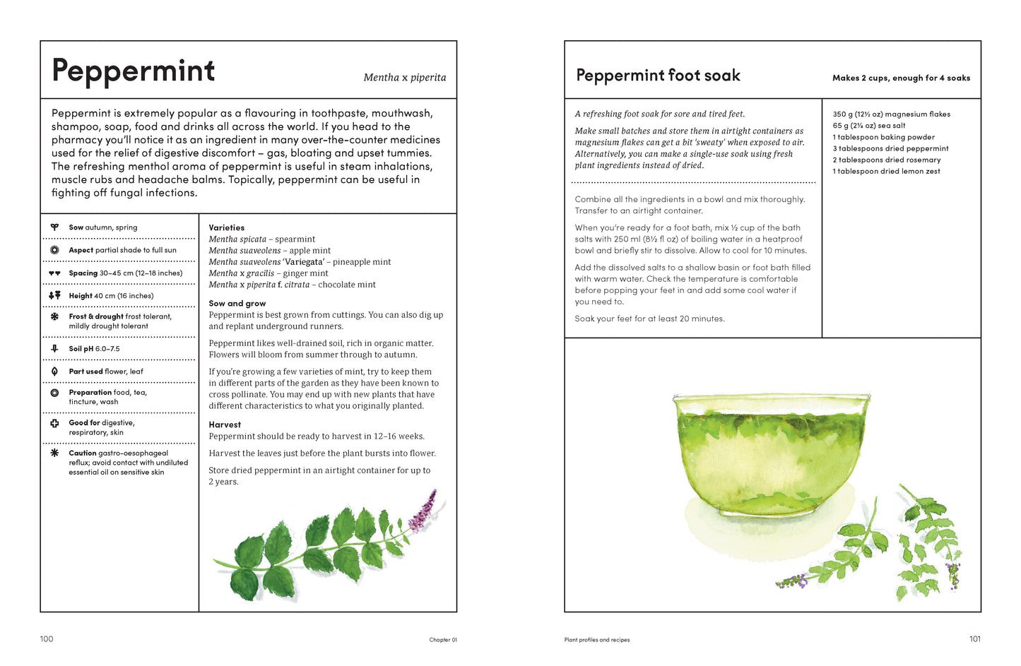 The Medicinal Garden