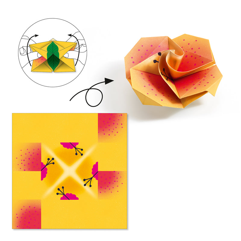 Origami Kits | Various