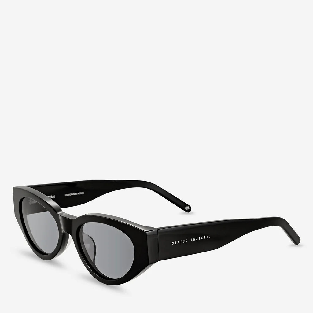 **COMING SOON** Visceral Sunglasses | Black