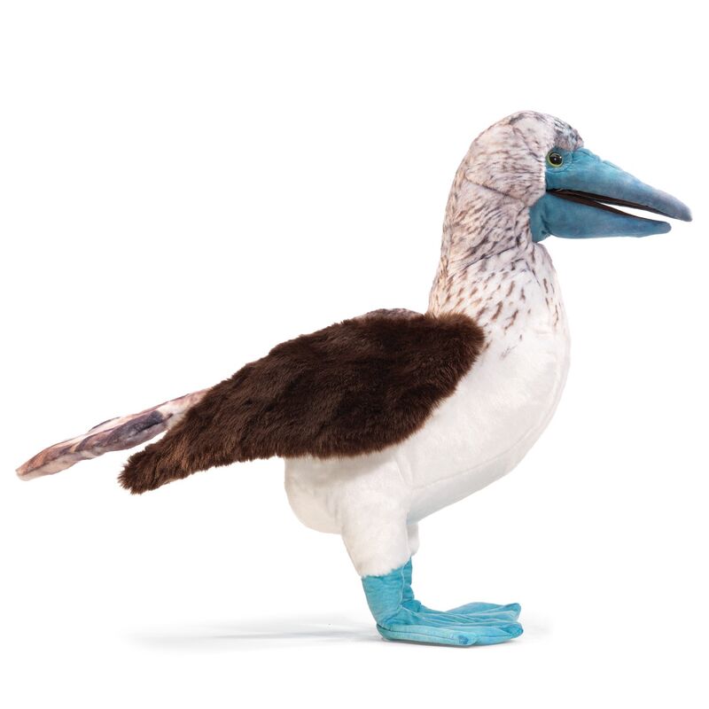Blue Footed Booby Puppet