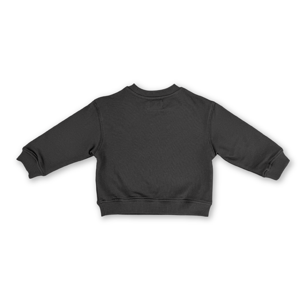 Parrot Fish Jumper | Ash