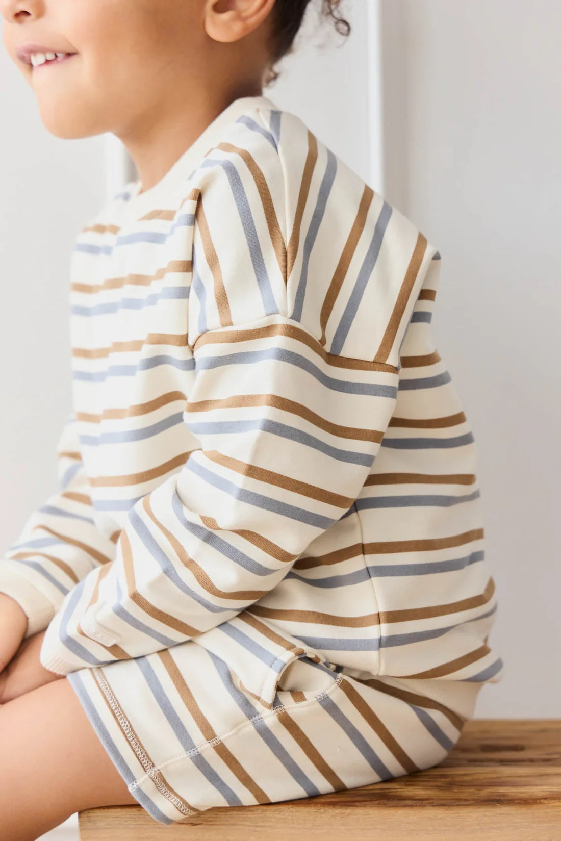 Organic Cotton Damien Sweatshirt | Hudson Stripe Tiger