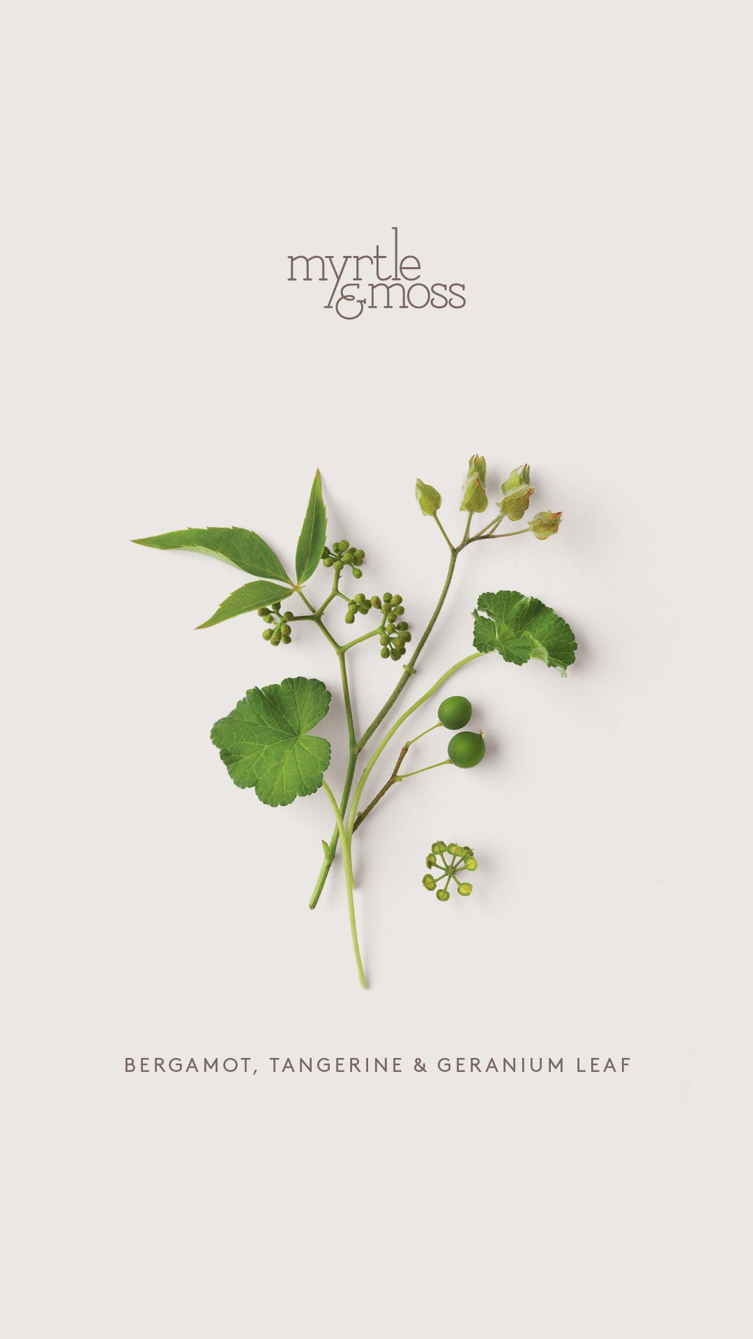 Myrtle & Moss Body Essential Oil Diffusers | Various Scents
