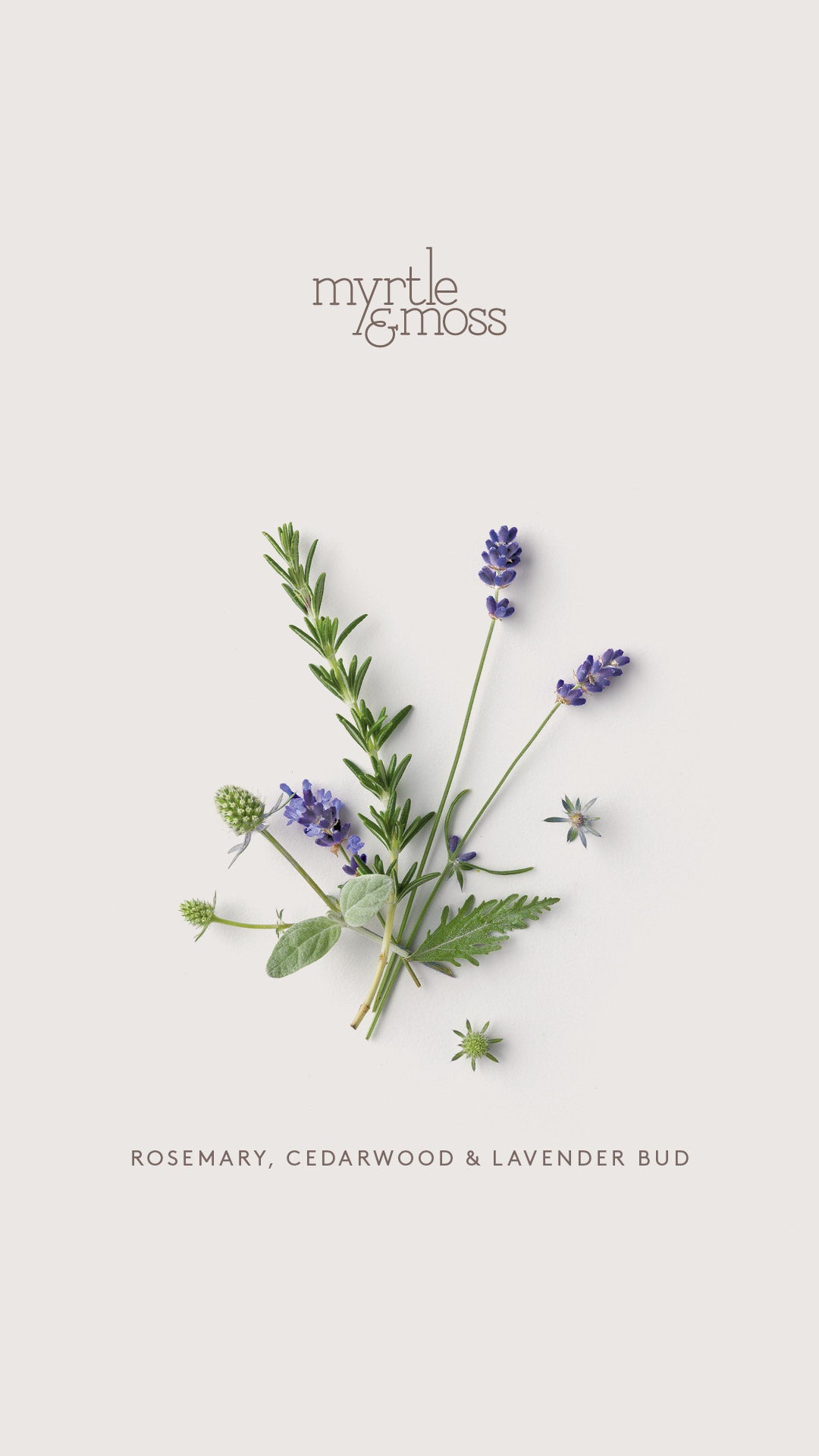 Myrtle & Moss Body Essential Oil Diffusers | Various Scents