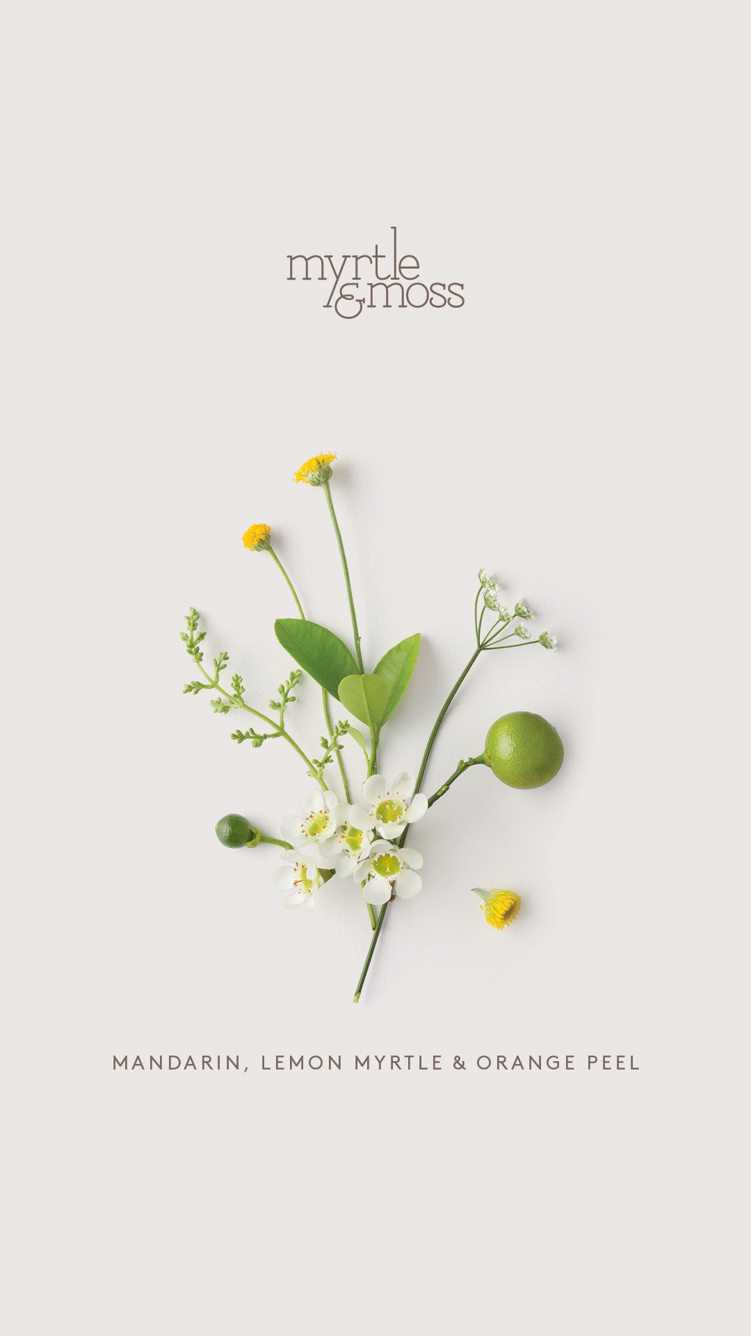 Myrtle & Moss Body Essential Oil Diffusers | Various Scents