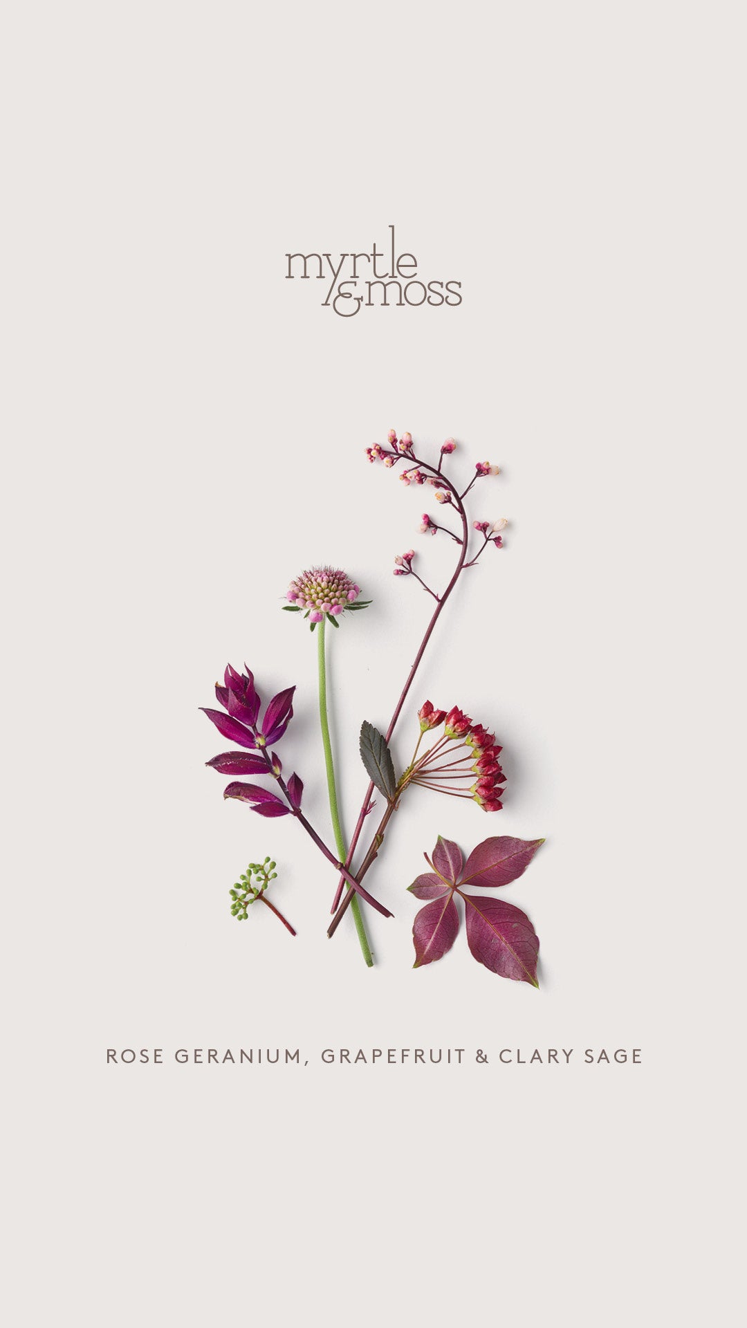 Myrtle & Moss Body Essential Oil Diffusers | Various Scents