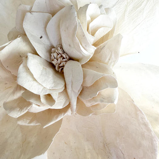Camellia Paper Flower | White