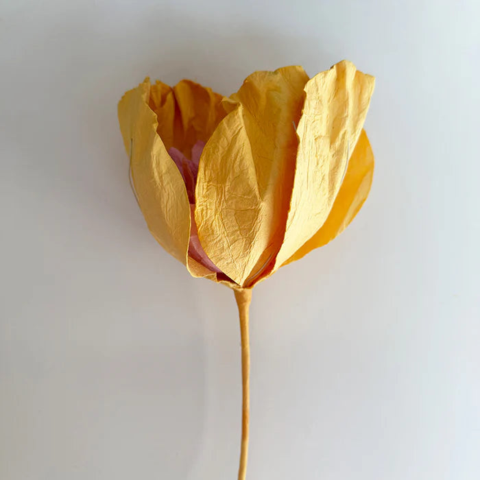 Camellia Paper Flower | Apricot
