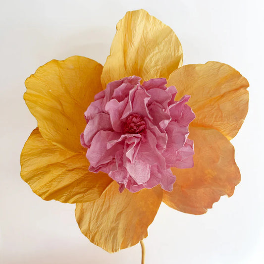Camellia Paper Flower | Apricot
