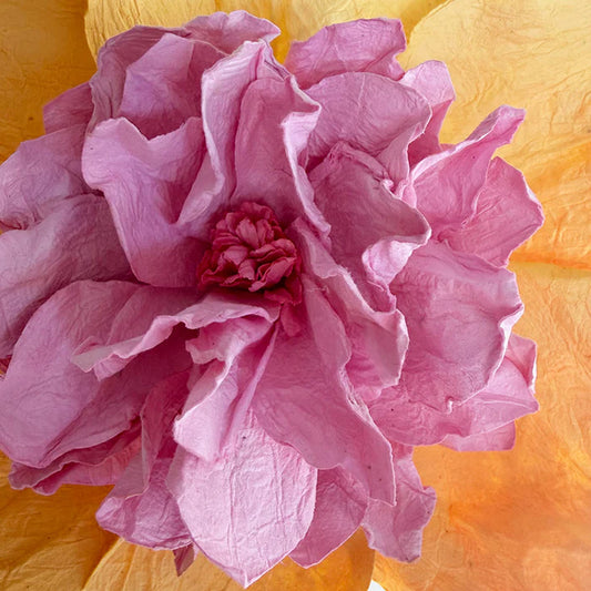 Camellia Paper Flower | Apricot