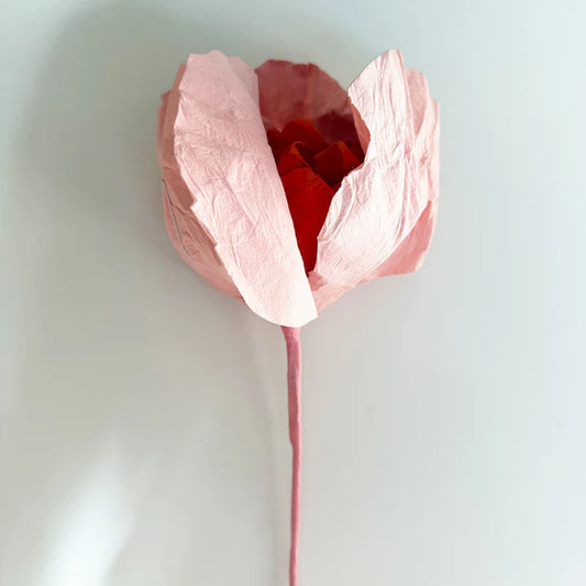 Camellia Paper Flower | Salmon