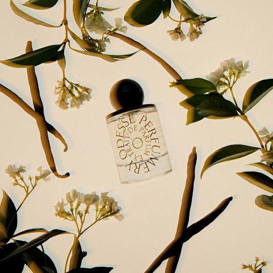 Vanilla Vanilla Extrait De Parfum