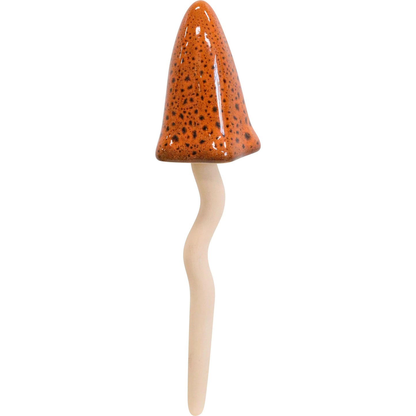 Jiggle Mushroom | Masala