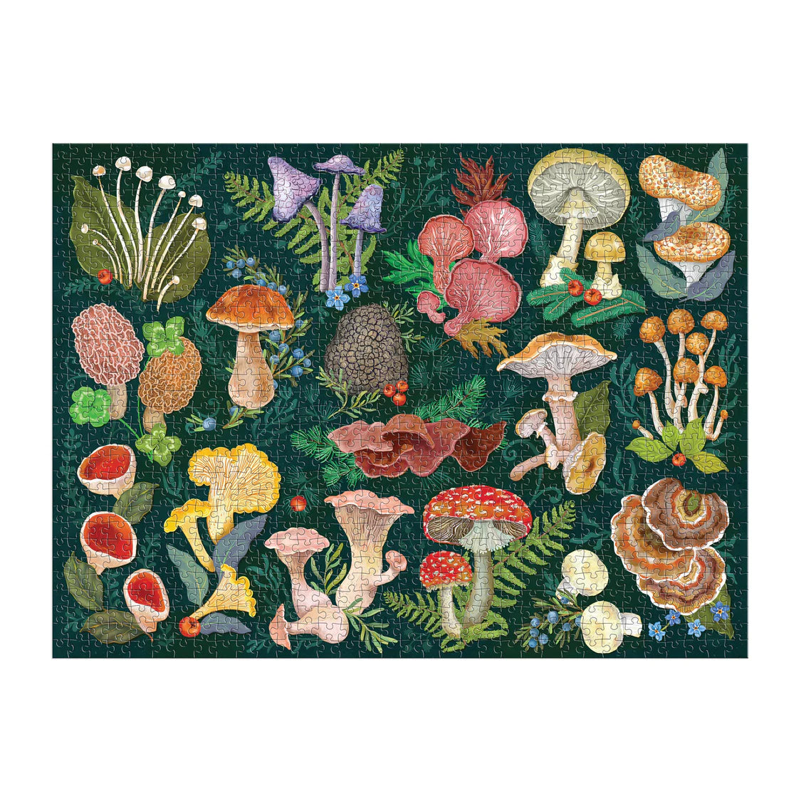 Galison World of Mushrooms Puzzle  | 1000pcs Multi-Coloured