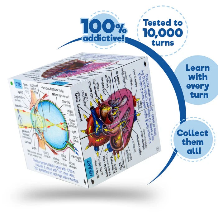 Zoobookoo - Human Body Anatomy Cube Book